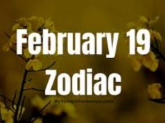 february 19 zodiac